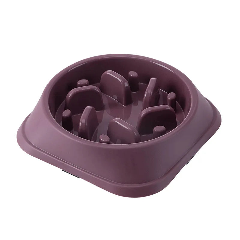 Ikrazi™  Gammelle Anti-Glouton (Base Carée)