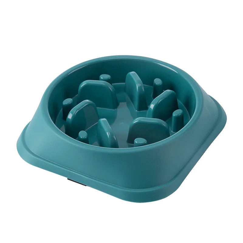 Ikrazi™  Gammelle Anti-Glouton (Base Carée)