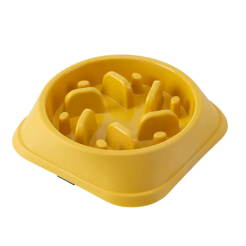 Ikrazi™  Gammelle Anti-Glouton (Base Carée)