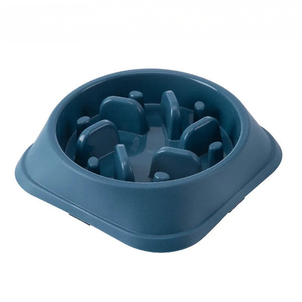 Ikrazi™  Gammelle Anti-Glouton (Base Carée)
