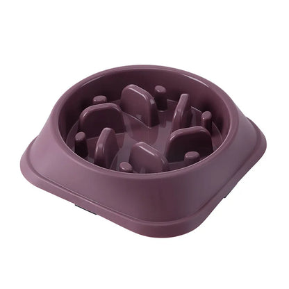Ikrazi™  Gammelle Anti-Glouton (Base Carée)